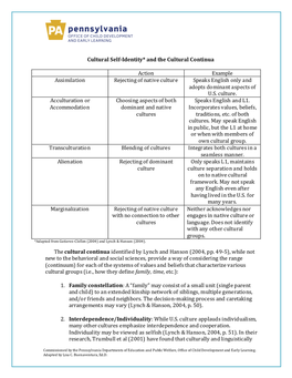 Cultural Self-Identity* and the Cultural Continua Action Example