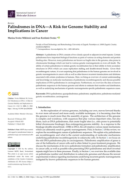 Palindromes in DNA—A Risk for Genome Stability and Implications in Cancer