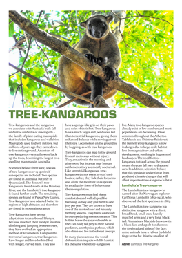 TREE-KANGAROOS Tree-Kangaroos and the Kangaroos Have a Sponge-Like Grip on Their Paws Live