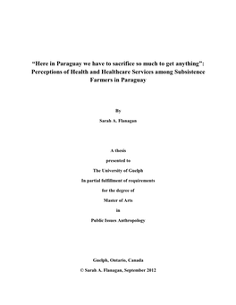 “Here in Paraguay We Have to Sacrifice So Much to Get Anything”: Perceptions of Health and Healthcare Services Among Subsistence Farmers in Paraguay