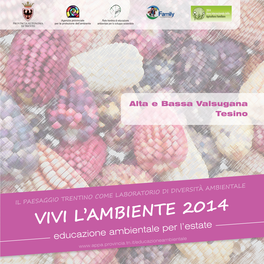 Vivi L'ambiente 2014