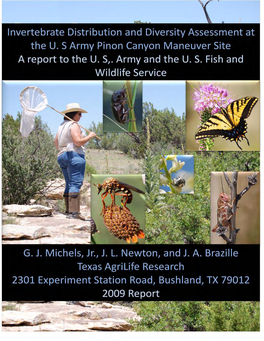2009 Pinon Canyon Invertebrate Survey Report
