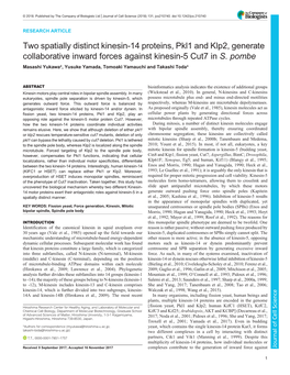 Two Spatially Distinct Kinesin-14 Proteins, Pkl1 and Klp2, Generate Collaborative Inward Forces Against Kinesin-5 Cut7 in S