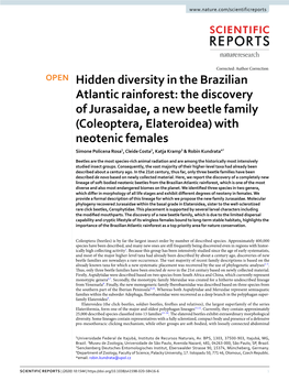 Hidden Diversity in the Brazilian Atlantic Rainforest