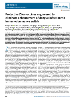 Protective Zika Vaccines Engineered to Eliminate Enhancement of Dengue Infection Via Immunodominance Switch