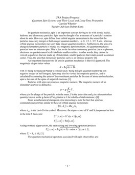 Quantum Spin Systems and Their Local and Long-Time Properties Carolee Wheeler Faculty Advisor: Robert Sims