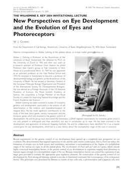 New Perspectives on Eye Development and the Evolution of Eyes and Photoreceptors