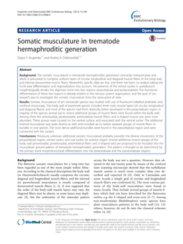 Somatic Musculature in Trematode Hermaphroditic Generation Darya Y