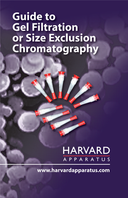 Guide to Gel Filtration Or Size Exclusion Chromatography