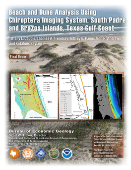 Beach and Dune Analysis Using Chiroptera Imaging System, South Padre and Brazos Islands, Texas Gulf Coast Tiffany L