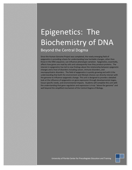 Epigenetics: the Biochemistry of DNA Beyond the Central Dogma