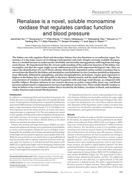 Renalase Is a Novel, Soluble Monoamine Oxidase That Regulates