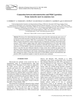 Connection Between Micrometeorites and Wild 2 Particles: from Antarctic Snow to Cometary Ices