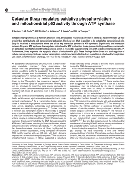 Cofactor Strap Regulates Oxidative Phosphorylation and Mitochondrial P53 Activity Through ATP Synthase