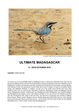 Ultimate Madagascar