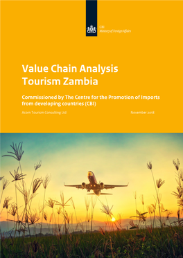 Value Chain Analysis Tourism Zambia