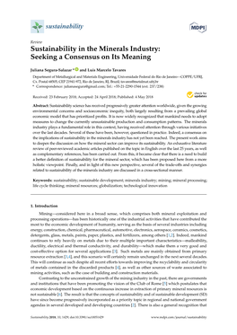 Sustainability in the Minerals Industry: Seeking a Consensus on Its Meaning
