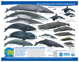 Marine Mammals of the US North Pacific & Arctic