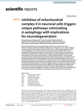 Inhibition of Mitochondrial Complex II in Neuronal Cells Triggers Unique