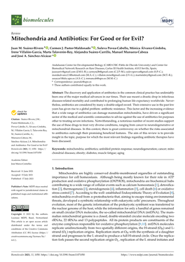 Mitochondria and Antibiotics: for Good Or for Evil?