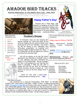 AMADOR BIRD TRACKS Monthly Newsletter of the Amador Bird Club June 2014 the Amador Bird Club Is a Group of People Who Share an Interest in Birds and Is Open to All
