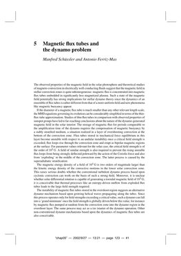 5 Magnetic Flux Tubes and the Dynamo Problem