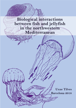 Biological Interactions Between Fish and Jellyfish in the Northwestern Mediterranean