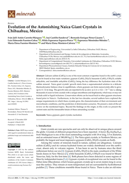 Evolution of the Astonishing Naica Giant Crystals in Chihuahua, Mexico