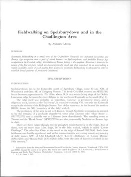 Fieldwalking on Spelsburydown and III the Chadlington Area