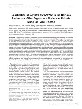 Localization of Borrelia Burgdorferi in the Nervous System And