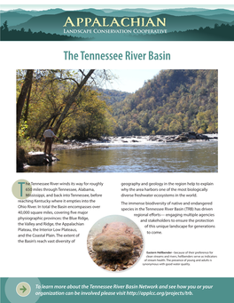 The Tennessee River Basin