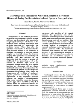 Morphogenetic Plasticity of Neuronal Elements in Cerebellar Glomeruli During Deafferentation-Induced Synaptic Reorganization J6zsefhhmori, Robert L