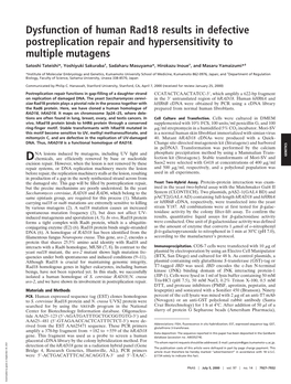 Dysfunction of Human Rad18 Results in Defective Postreplication Repair and Hypersensitivity to Multiple Mutagens