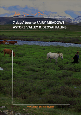 7 Days' Tour to FAIRY MEADOWS, ASTORE VALLEY & DEOSAI PALINS