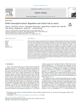 FOXK Transcription Factors Regulation and Critical Role in Cancer