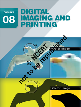Digital Imaging and Printing Selection 92 Image Manipulation Requires Selecting Either a Part of the Image Or the Entire Image to Make Changes