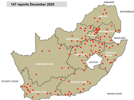 147 Reports December 2020