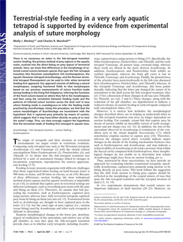 Terrestrial-Style Feeding in a Very Early Aquatic Tetrapod Is Supported by Evidence from Experimental Analysis of Suture Morphology