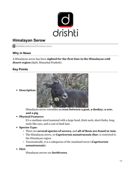 Himalayan Serow