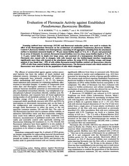 Evaluation of Fleroxacin Activity Against Established Pseudomonas Fluorescens Biofilms D