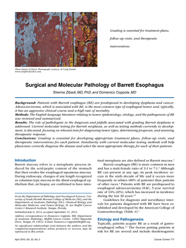 Surgical and Molecular Pathology of Barrett Esophagus Sherma Zibadi, MD, Phd, and Domenico Coppola, MD