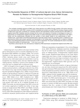 The Nucleotide Sequence of RNA1 of Lettuce Big-Vein Virus, Genus Varicosavirus, Reveals Its Relation to Nonsegmented Negative-Strand RNA Viruses