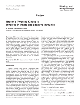 Review Bruton's Tyrosine Kinase Is Involved in Innate and Adaptive