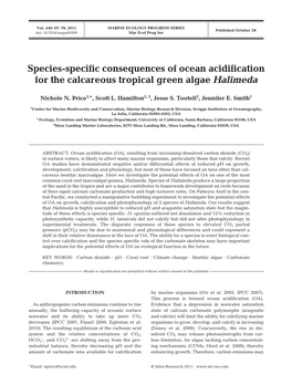 Species-Specific Consequences of Ocean Acidification for the Calcareous Tropical Green Algae Halimeda