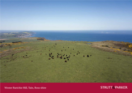 Wester Rarichie Hill, Tain, Ross-Shire