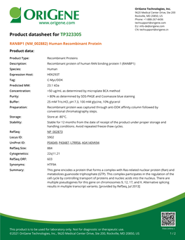 RANBP1 (NM 002882) Human Recombinant Protein – TP323305 | Origene