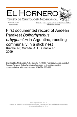 Bolborhynchus Orbygnesius in Argentina, Roosting Communally in a Stick Nest Krabbe, N.; Sureda, A