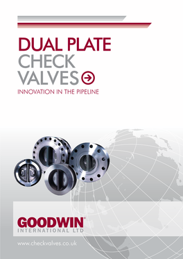 Dual Plate Check Valves Innovation in the Pipeline