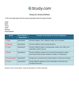 Senses & Reflexes in the Nervous System Visual Worksheet