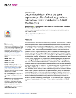 Decorin Knockdown Affects the Gene Expression Profile of Adhesion, Growth and Extracellular Matrix Metabolism in C-28/I2 Chondrocytes